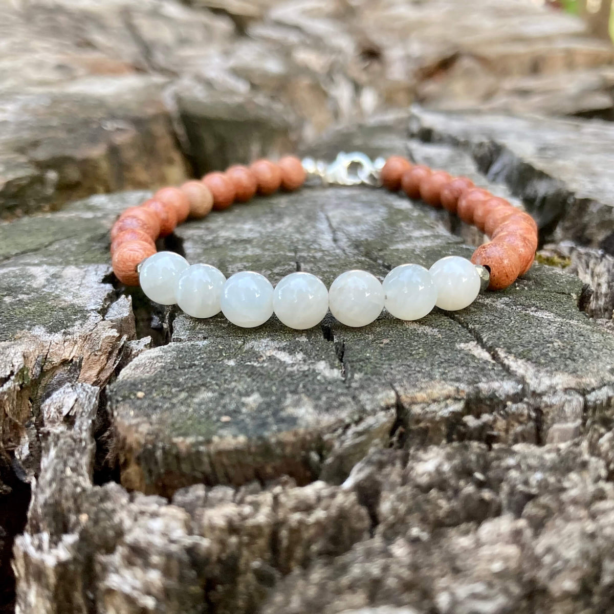 Balance bracelet on an old tree stump, sterling silver clasp at the top